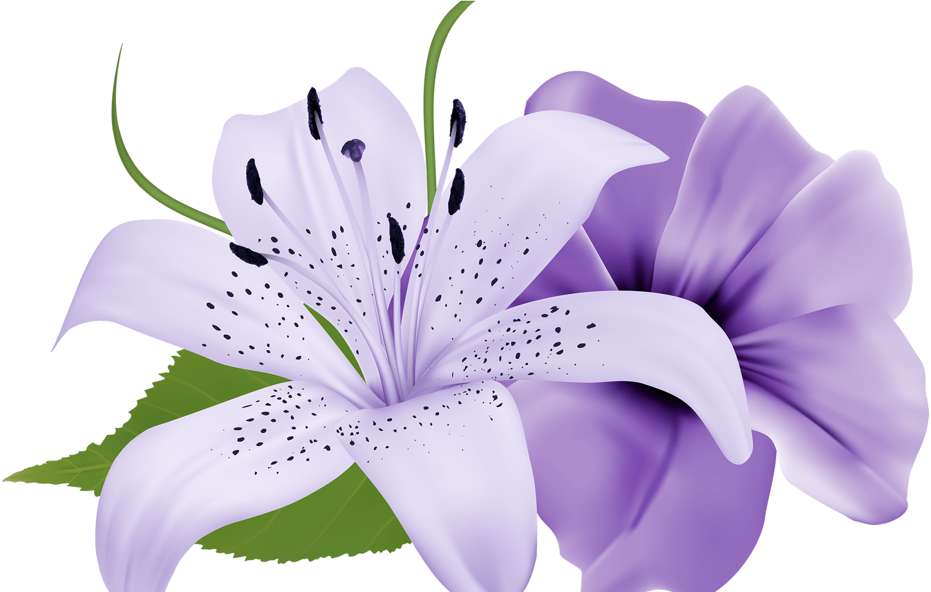 Purple Flower Bouquet Clip Art - Purple Flower Png (1368x855)