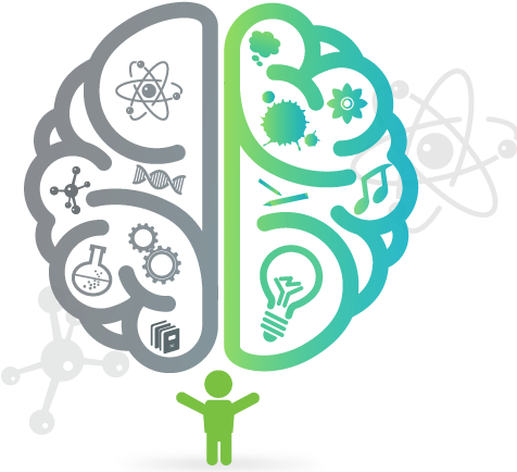 Which Help To Reestablish The Neural Connections Between - Mind Png (489x433)