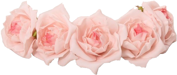 Coroas De Flores Png - Pastel Pink Flower Crown Transparent (600x600)