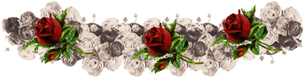 แบบกดโหลดจ้า อัพต่อเรื่อยๆจ้า - Png Tiara De Flores (500x500)