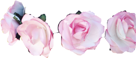 Flower Crown - Flower Crown Transparent Overlay Png (500x269)