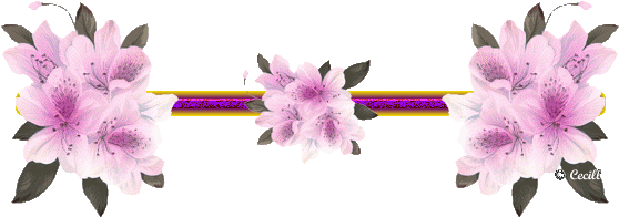 Barritas Animadas De Flores Variadas - Flowers (565x261)