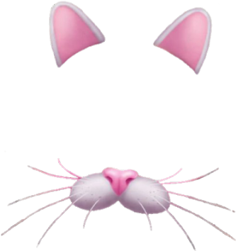 Aqui Estan Algunos Efectos De Snapchat - Snapchat Cat Filter (357x411)