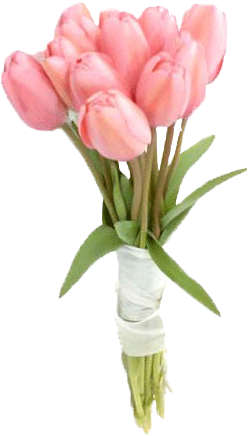 Ahora Sí, Llegó El Gran Momento, Nuestra Primera Corona - Bouquet De Novias Tulipanes (481x649)