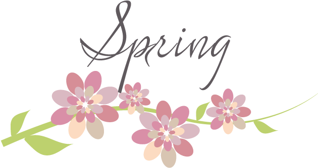 Guirnaldas De Flores - Moth Orchid (766x459)