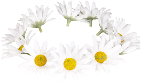Imágenes De Coronas De Flores - Garden Ring (500x316)