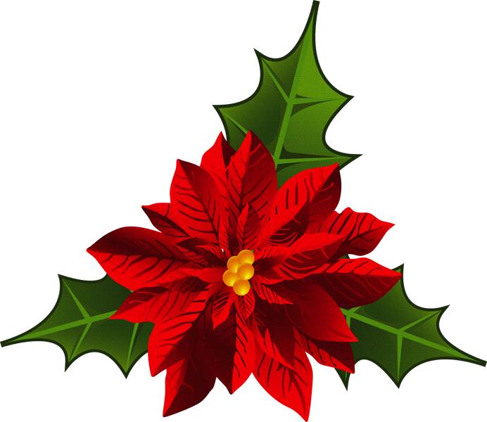 Imágenes De Flores De Navidad - Cafepress Believe In The Magic Throw Pillow (692x600)