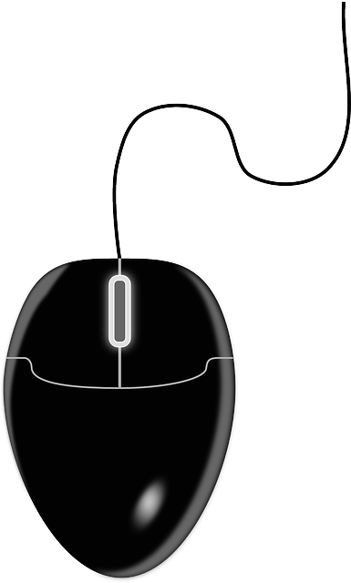 Glossy Mouse, Device, Control, Computer, Black, Glossy - Computer Mouse Clipart Png (385x640)