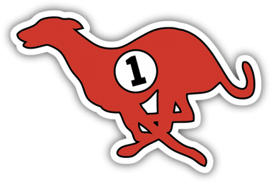 Running Greyhound Bumper Sticker - Running Greyhound Bumper Sticker (400x400)