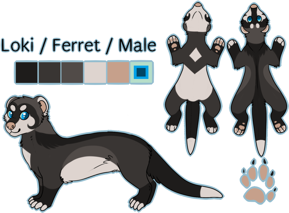 Loki Ferret By Chargay - Cartoon (1024x760)