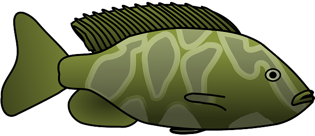 Fins Fish, Tropical, Animal, Tail, Fins - Green Fish Clipart Png (640x320)