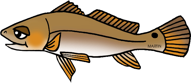 Marine Fish Clipart Channel Bass - Marine Fish Clipart Channel Bass (648x301)