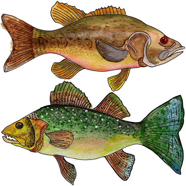 Lake Life For Thimbleberries Inc - Thimbleberry (600x600)