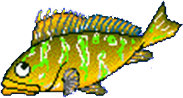 Bass - Fish - Clip - Art - Clip Art (600x329)