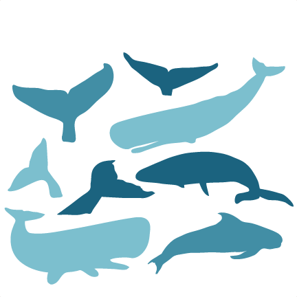 Surfer Green Whale Png Clip Arts For - Clip Art (432x432)