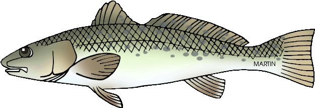 Trout Clipart Bass - Oncorhynchus (648x242)