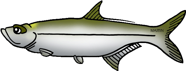United States Clip Art By Phillip Martin, State Salt - Tarpon Alabama State Fish (648x263)