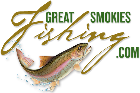 Guide To Bass, Trout, Fly - Brown Trout (500x319)