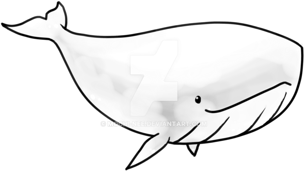 Transparent Whale By Eiocia On Deviantart - Blue Whale (1024x768)