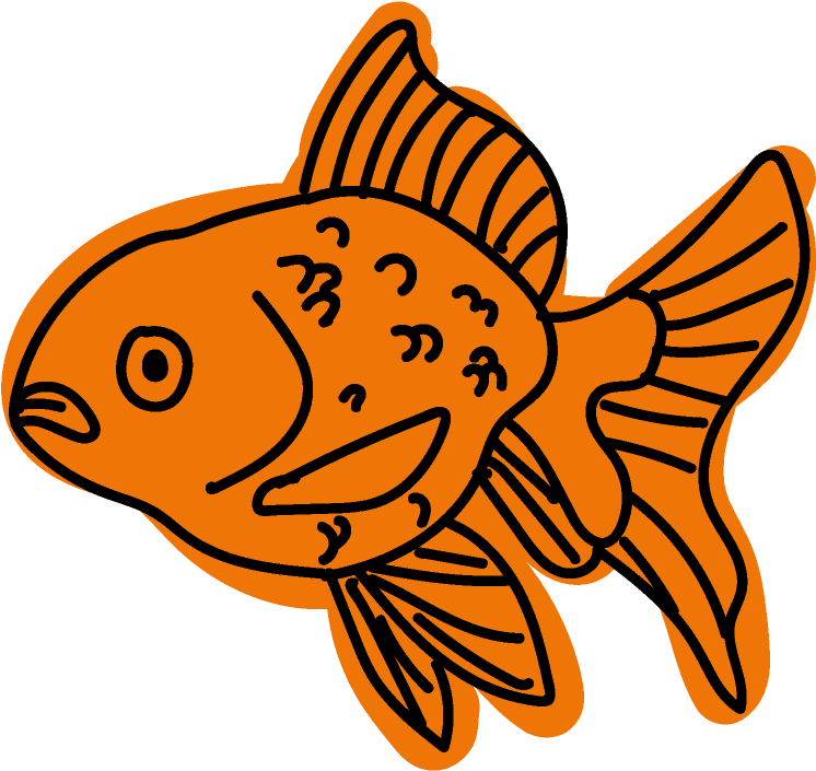 University Of North Texas Biol 1760 Lab Presentation - Coral Reef Fish (861x843)