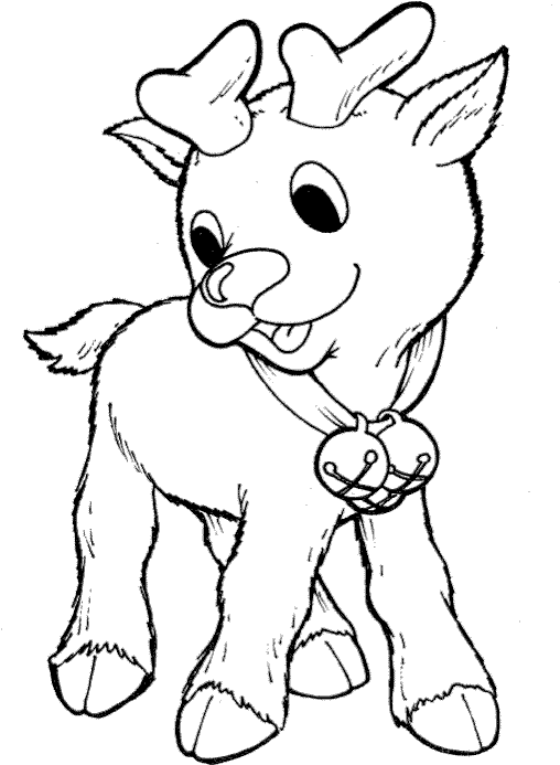 Christmas Baby Reindeer Coloring Pages Preschool In - Baby Reindeer Coloring Pages (649x721)