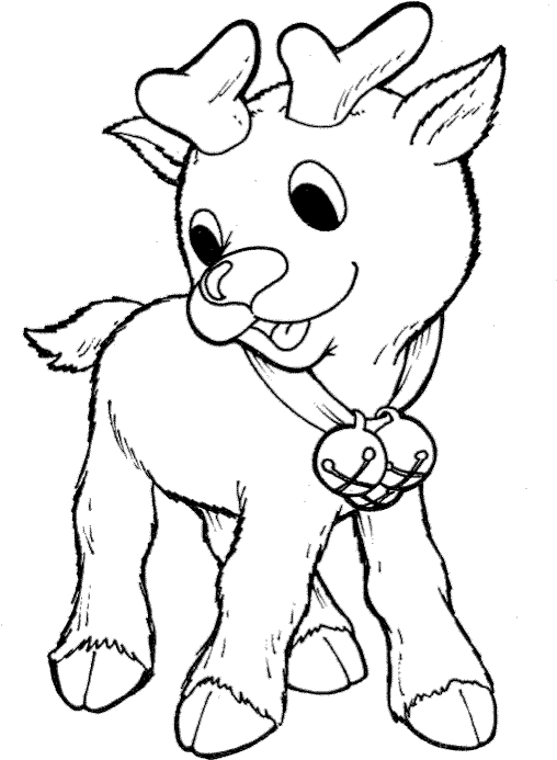 Christmas Baby Reindeer Coloring Pages Preschool In - Baby Reindeer ...
