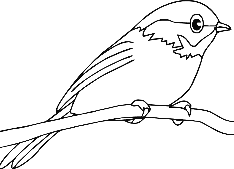 Baby Bird Coloring Pages - Colouring Pictures Of Bird (968x698)