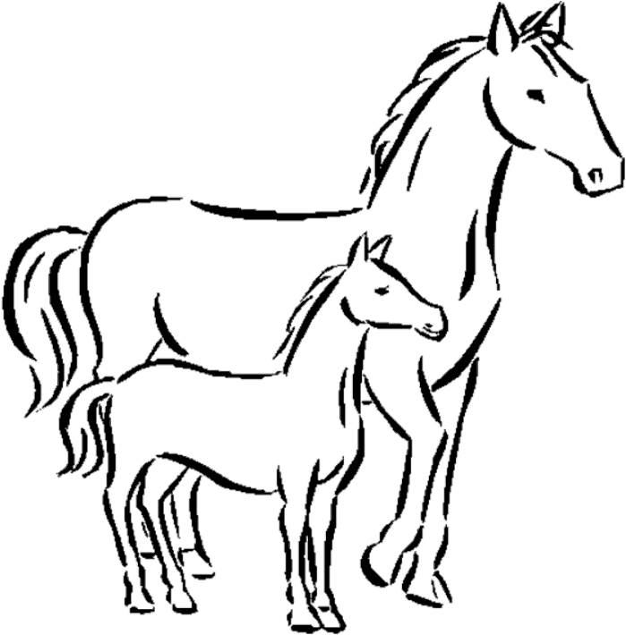 Coloring Pages To Print Horse Coloring Pages To Print - Drawing Of A Small Horse (705x709)