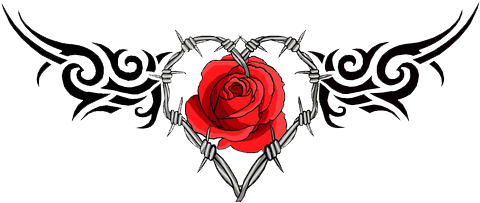 Rose - Barb Wire Heart Tattoo (600x210)
