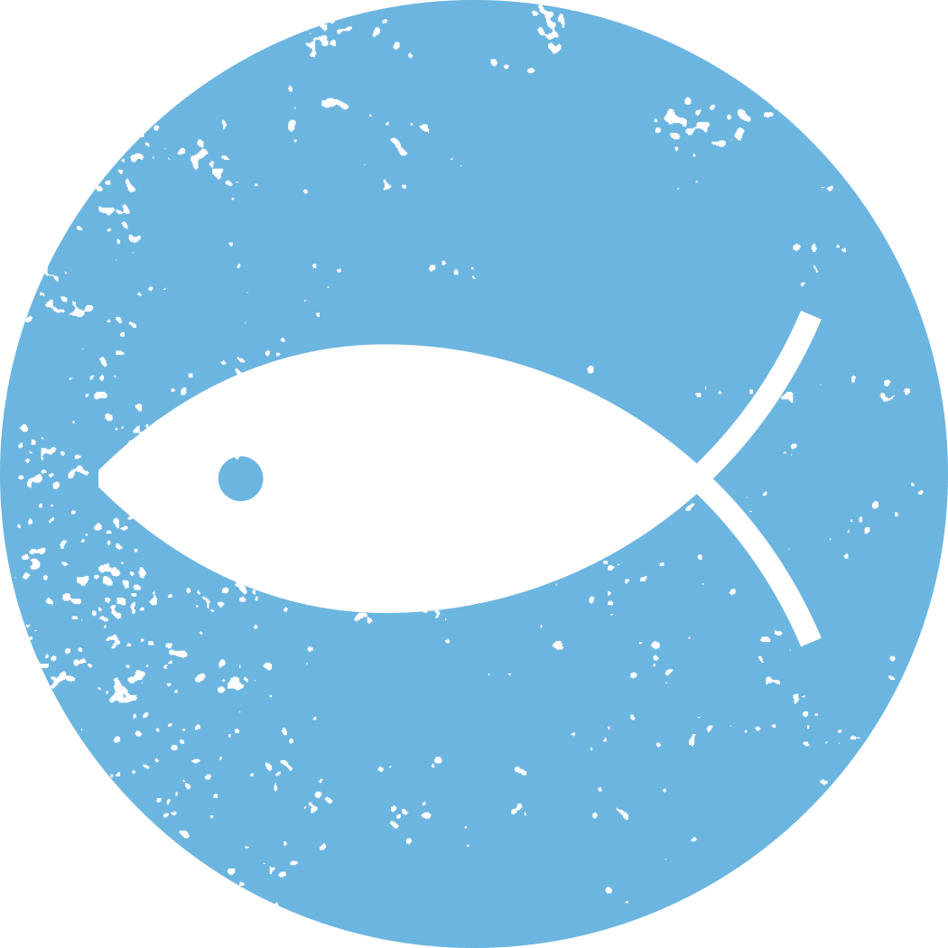 Fish - Fish (1050x1050)