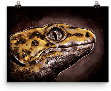 Yellow Gecko Poster - Gecko (600x600)