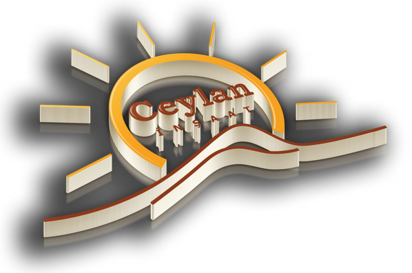 0 Replies 3 Retweets 0 Likes - Graphic Design (598x396)