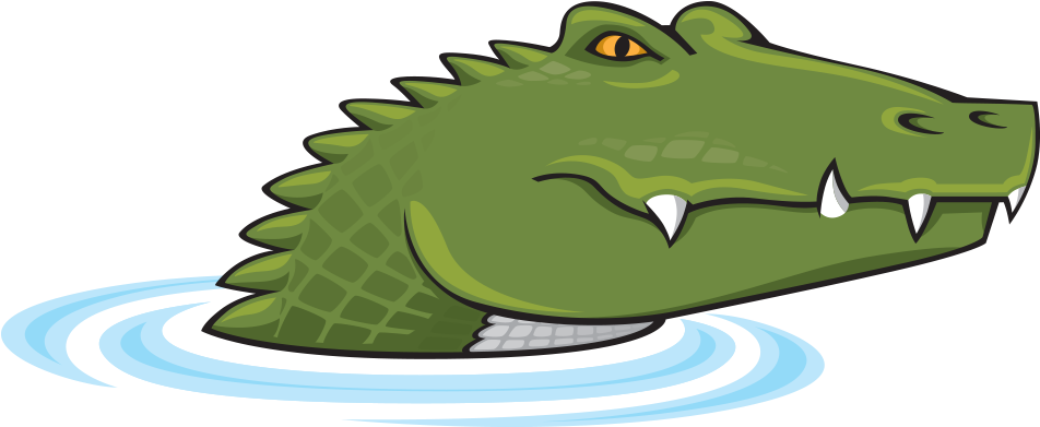 Alligator - North Carolina (980x412)