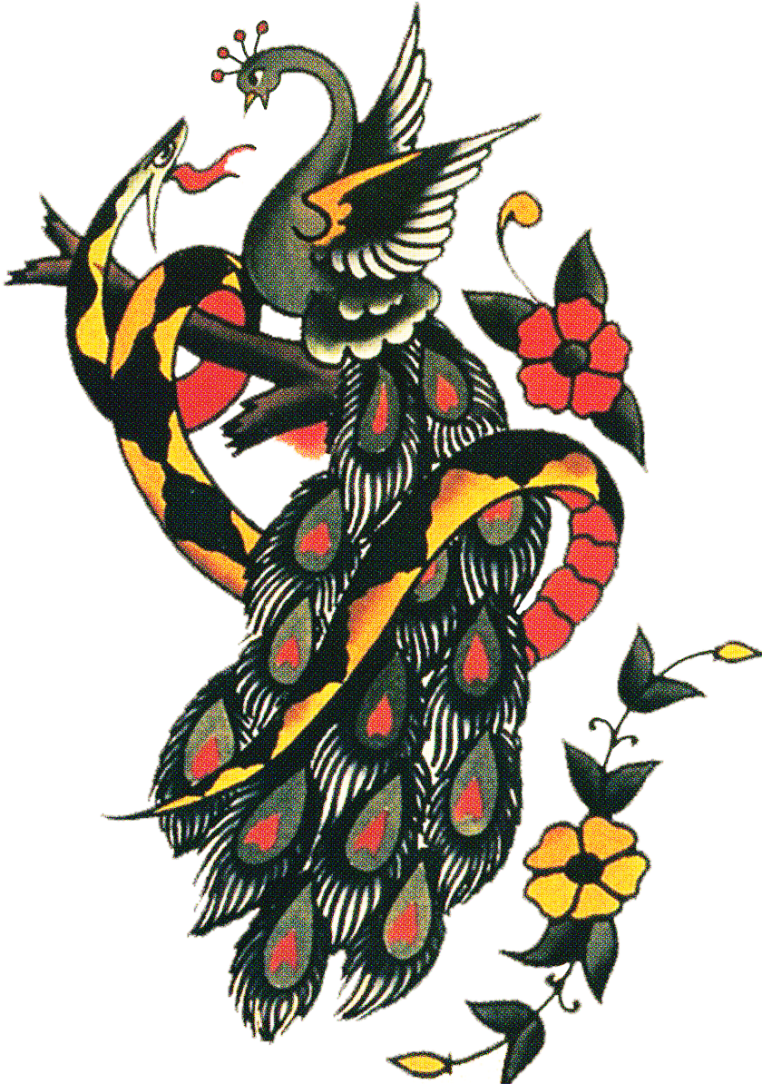 Don't Love The Snake But I Do Like The Alternative - Sailor Jerry Flower Tattoo (851x1200)