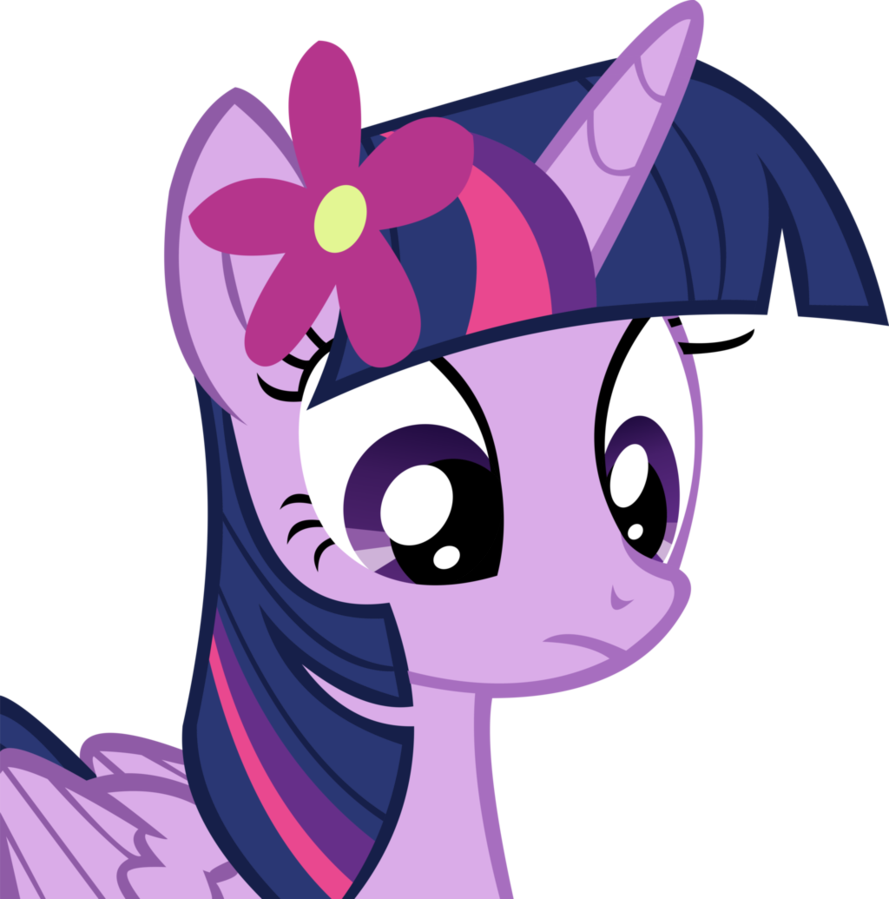 Twilight Sparkle Vector - My Little Pony Twilight Sparkle Flower (889x899)