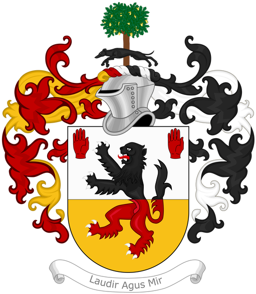 This Is My Own Personal Version Of The Daly Coat Of - King Of Scots Banner Shower Curtain (630x599)