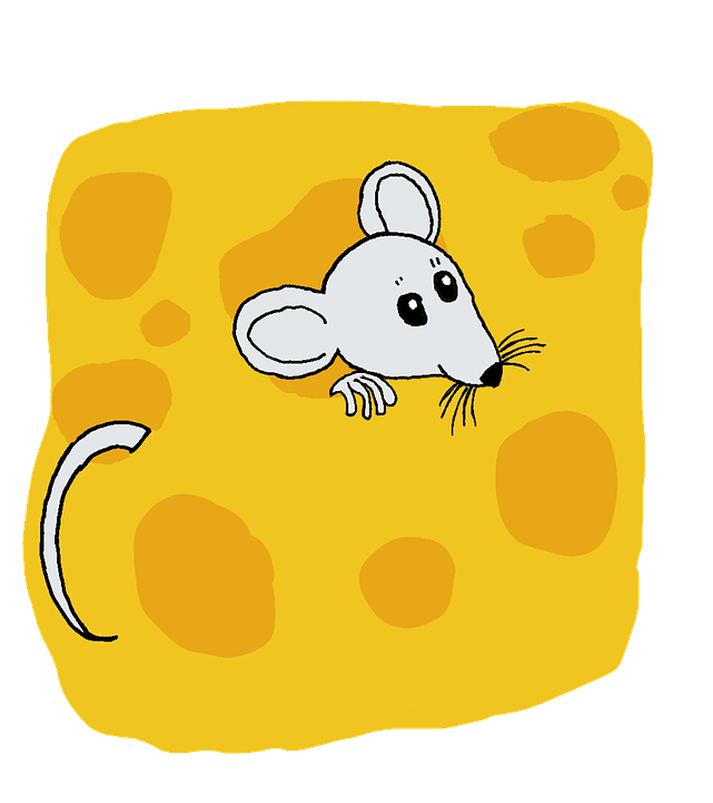 Rat, Mouse, Cheese, Animal, Mammal, Rodent, Cartoon - Mammal (720x720)