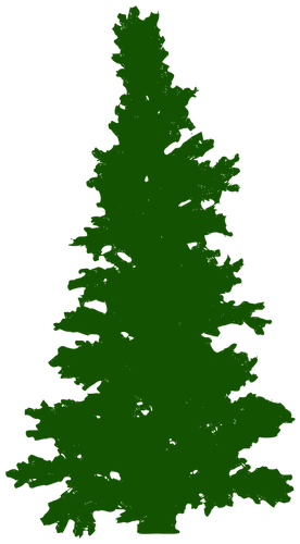 Drawn Pine Tree Scary - Pohon Cemara Vector (276x500)