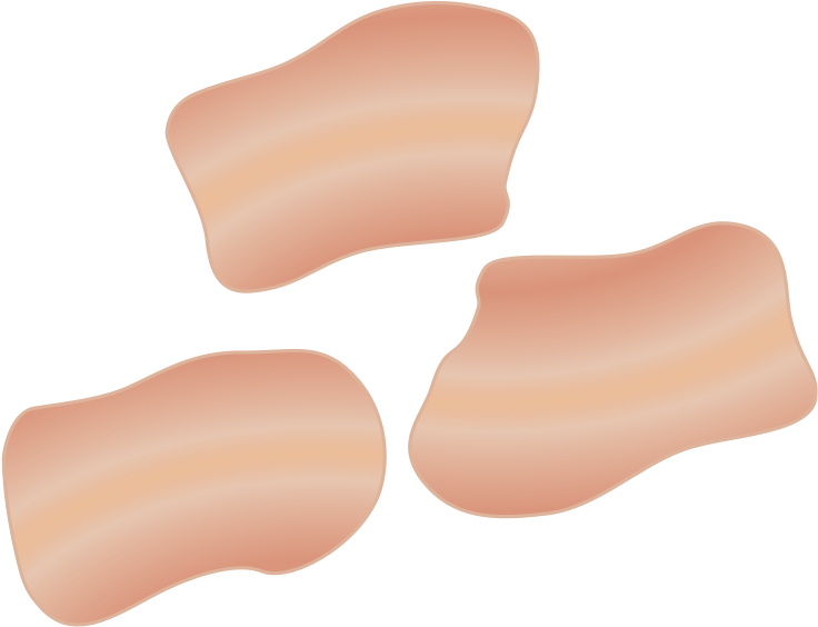 Free Vector Bacon Clip Art - Bacon Bits Clipart (800x640)