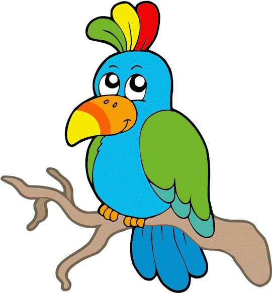 Budgie Clipart Cartoon - African Bird Clip Art (600x600)