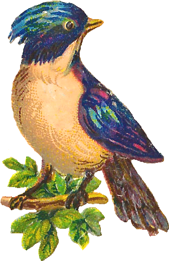 Bird Tree Image Clip Art - Bird In Tree Png (439x600)