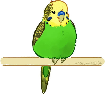 Hand Drawn Cartoon Budgies Perched - Parakeet Gif Transparent (452x414)