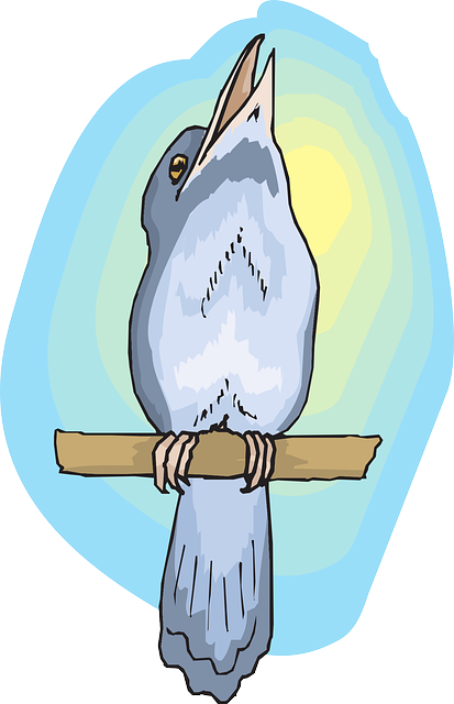 Branch, Wings, Animal, Feathers, Species, Perched - Feather (413x640)