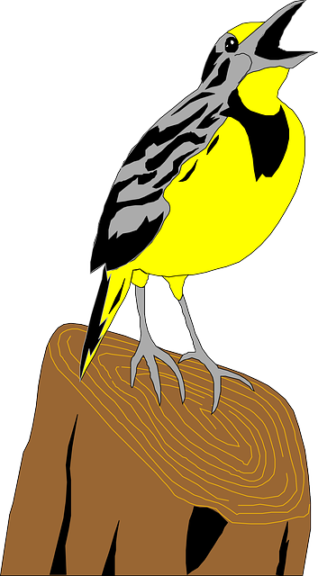 Meadowlark Digital, Wings, Art, Stump, Feathers, Meadowlark - Chim Son Ca Vector (353x640)