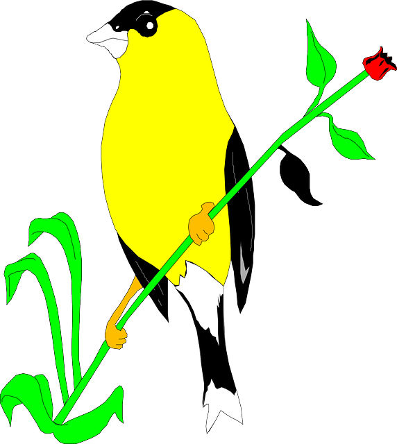 Stem Flower, Bird, Plant, Wings, Animal, Goldfinch, - Goldfinch Clip Art (572x640)