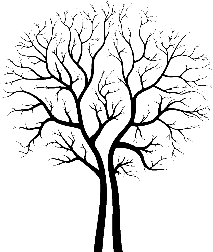 Tree Clip Art - Vector Tree (881x1024)