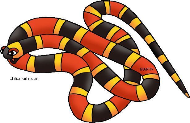 Toucan Clipart Rainforest Snake - Rainforest Animals Clipart (648x430)