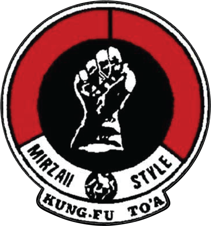 Badge Mirzaii - Kung Fu Toa (734x797)