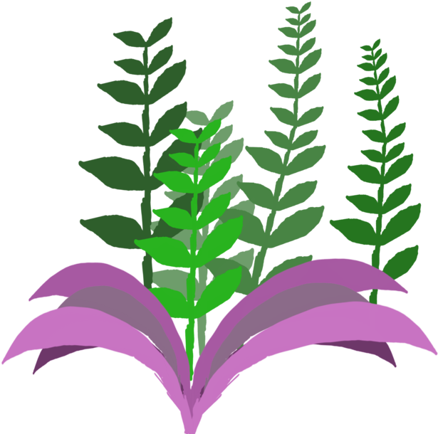 Jungle Plants Vector By Vatoff - Pixabay (894x894)