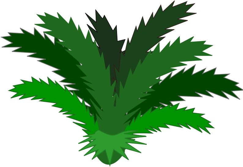 Jungle Plant Clip Art Clipart Free Download - Jungle Plants Clip Art (800x609)